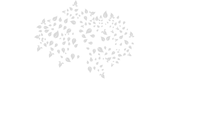 New Legacy Consulting